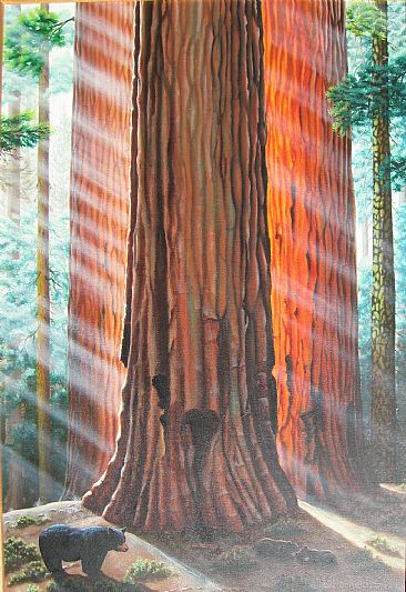 Giant Reflections - Sequoia Trees by Bill Scheidt